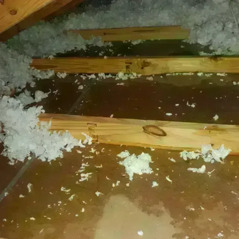 Attic Water Damage in Robersonville, NC